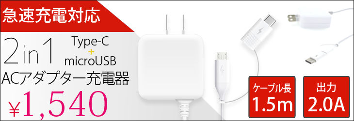 2in1AC充電器